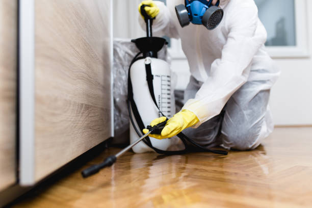 Best Pest Control Near Me  in Neffs, OH