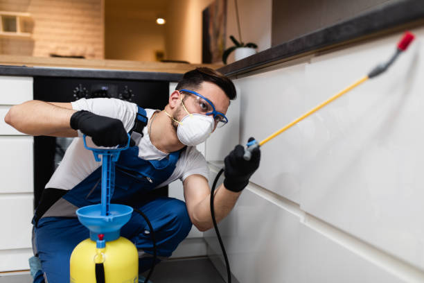 Best Mosquito Control Services  in Neffs, OH