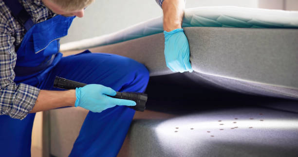 Best Affordable Pest Control Services  in Neffs, OH